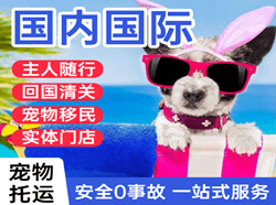 锦州湾航空货运国际宠物托运 【国